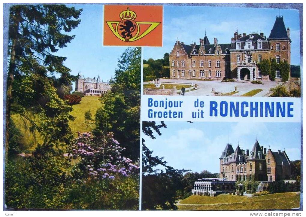 CP De ROCHINNE " Bonjour De Ronchinne " - Assesse