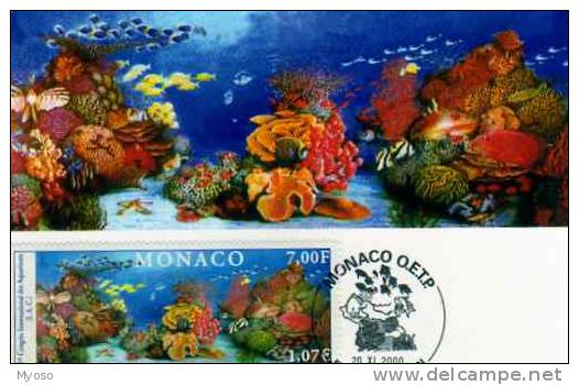 Carte 1°jour, Timbre, Obliteration 20 11 2000 Monaco O.E.T.P, 5° Congres International Des Aquariums - Poissons Et Crustacés