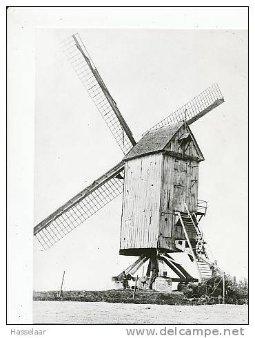 Poperinge - Monkarey's Molen - Poperinge