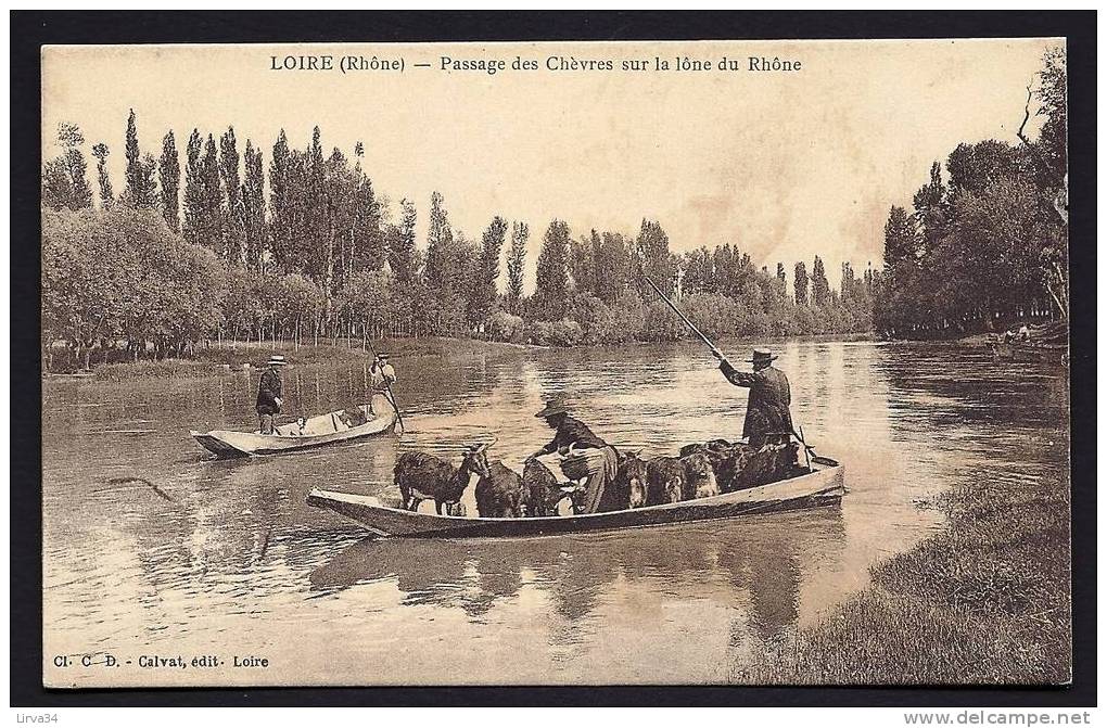 CPA  ANCIENNE- FRANCE- LOIRE (69)- PASSAGE DES CHEVRES SUR LE BAC, POUR TRAVERSER LA LÔNE-  GROS PLAN - Loire Sur Rhone