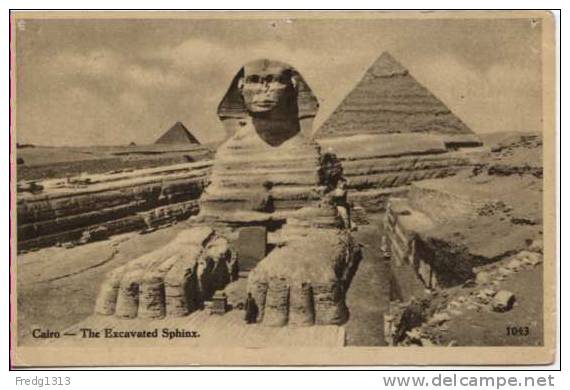 Egypte - Cairo - The Excavated Sphinx - Sphinx