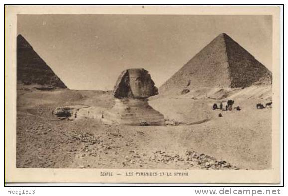 Egypte - Cairo - Les Pyramides Et Le Sphinx - Sphinx
