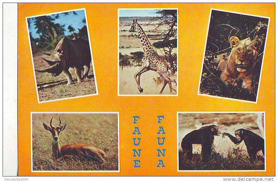 Zd5621 Fauna Animals Aniamaux Girafes Lion Monkey From Africa Congo 1975 Not Used Good Shape - Girafes