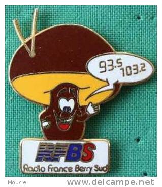 RADIO FRANCE BERRY SUD - RFBS - CHAMPIGNON - 95,3-103,2 - Médias