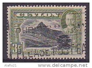 CEYLAN N° 239 - GEORGES V - Bon état - Sri Lanka (Ceylon) (1948-...)