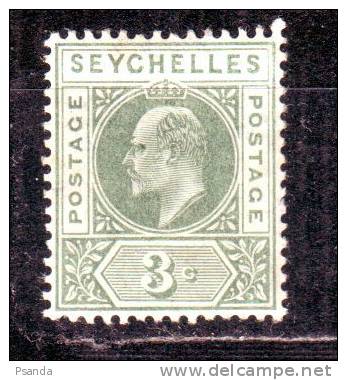 Seychelles 1903 MH* - Seychelles (1976-...)