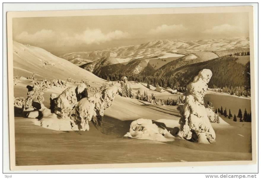 Blick V.Mittelbuck-Feldberg Hinterwaldkopf Und Kandel 1495m - Feldberg