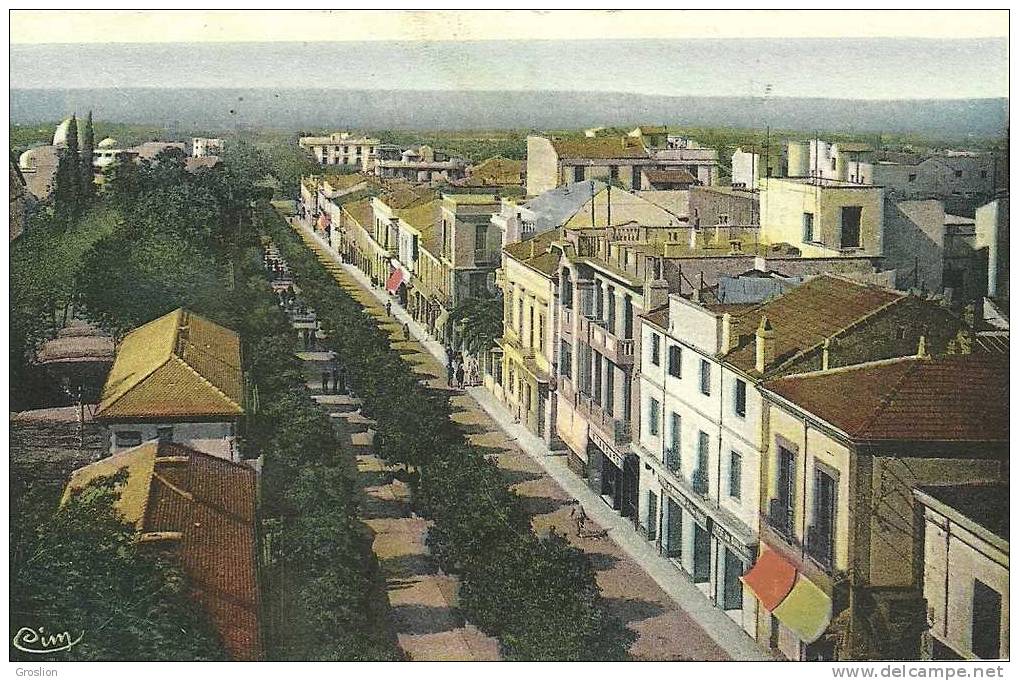 BLIDA BOULEVARD TRUMELET - Blida