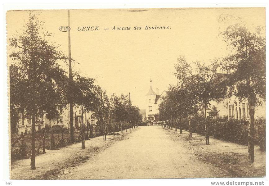 GENK - Avenue Des Bouleaux  (1734)b39 - Genk