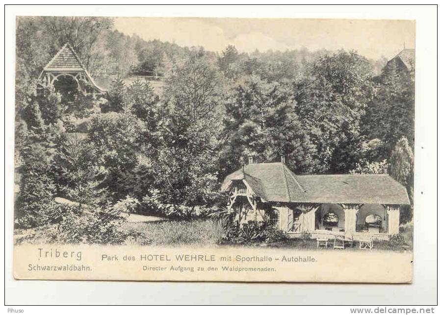 D203  TRIBERG :,Park Des Hotel Wehrle Mit Sporthalle - Autohalle - Triberg