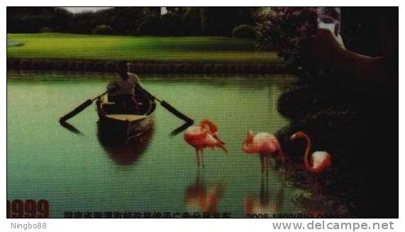 Lake James Flamingo Bird,the Puna Flamingo,China 2008 Jianxin Real Estate Company Advertising Postal Stationery Card - Flamants