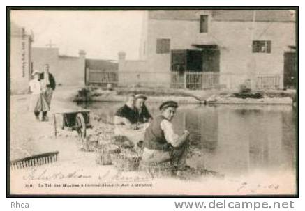 14 318. Le Tri Des Huîtres à Courseulles-sur-Mer (Calvados) Ostreiculture Panier Huitr D14D K14200K C14191C RH012192 - Autres & Non Classés