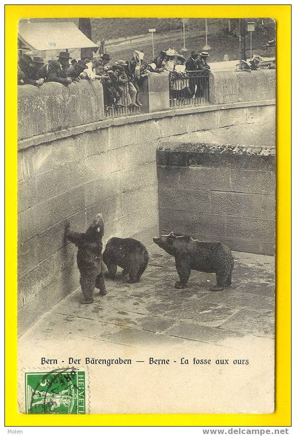 SUISSE BERNE - SCHWEIZ BERN : BARENGRABEN - ZOO FOSSE AUX OURS - BEER - BEAR   N33 - Beren