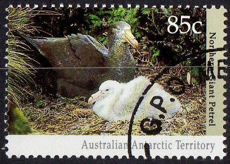 Australian Antarctic 1992 Wildlife 85c Northern Giant Petrel CTO - Gebruikt