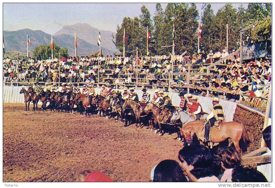 Chili Chile - Rodeo A La Chilena - Chevaux Horses - Écrite 1969 - 2 Scans - Ippica