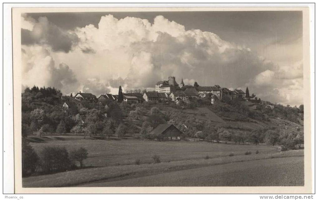 SWITZERLAND - REGENSBERG, Panorama, Old Postcard - Regensberg