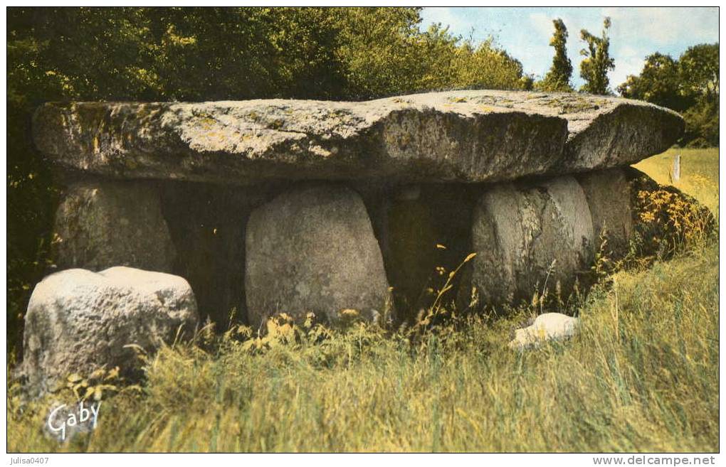 DOLMEN PIERRE DRUIDIQUE Le Bernard Près Jard Sur Mer Dolmen De La Frébouchère - Dolmen & Menhire