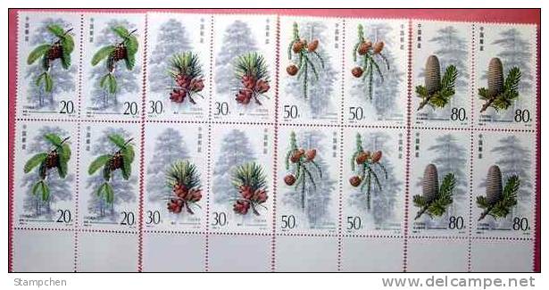 Block 4 With Margin&ndash;China 1992-3 Spruce Fir Tree Stamps Forest Nut Cone Plant Flora - Blocks & Sheetlets