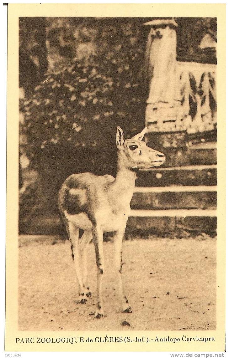 76690 CLERES - PARC ZOOLOGIQUE  LOT De 10 CARTES POSTALES ANCIENNES Et DIFFERENTES - Clères