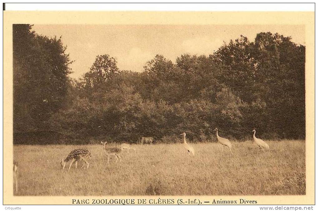 76690 CLERES - PARC ZOOLOGIQUE  LOT de 10 CARTES POSTALES ANCIENNES et DIFFERENTES