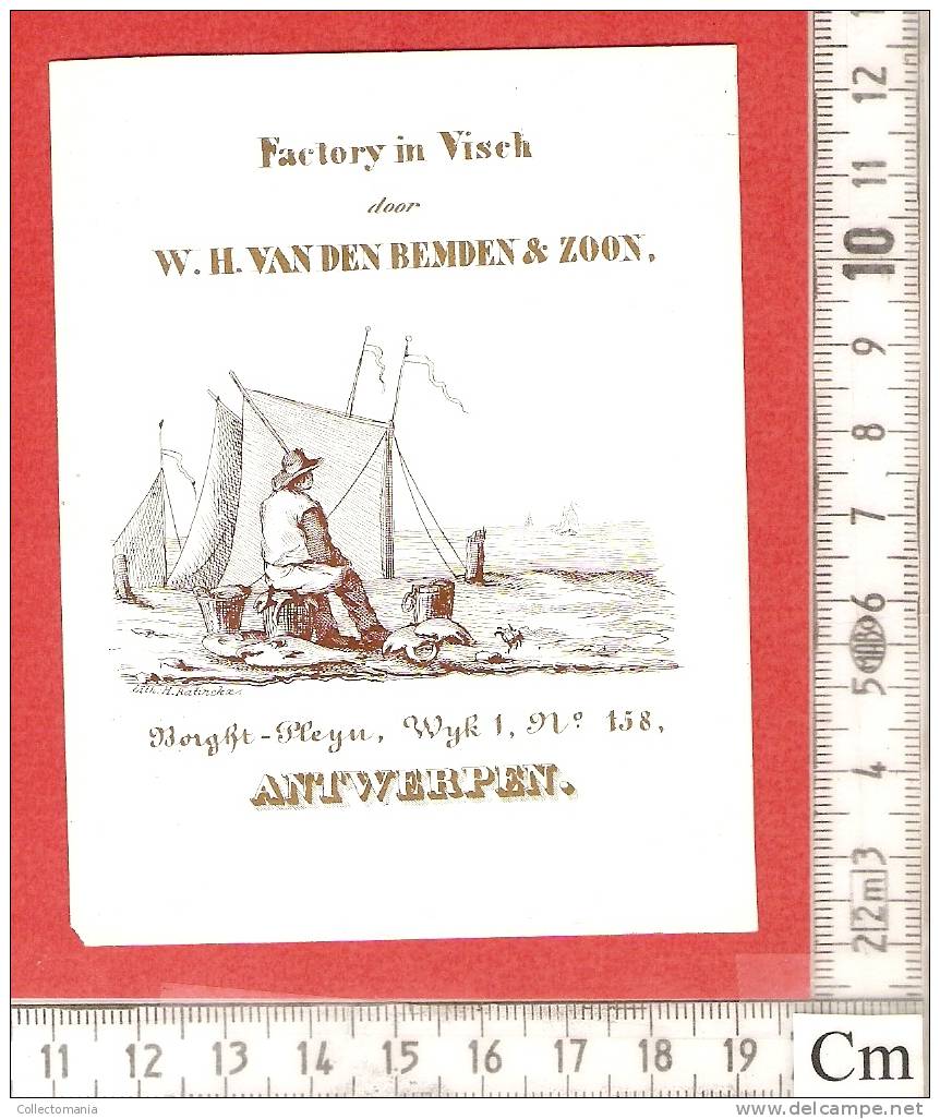 Porseleinkaart BORGERHOUT 1850 Carte Porcelaine  ANVERS Antwerpen Van Den Bemden Factory In Visch Plein Haringrokerij - Porcelaine