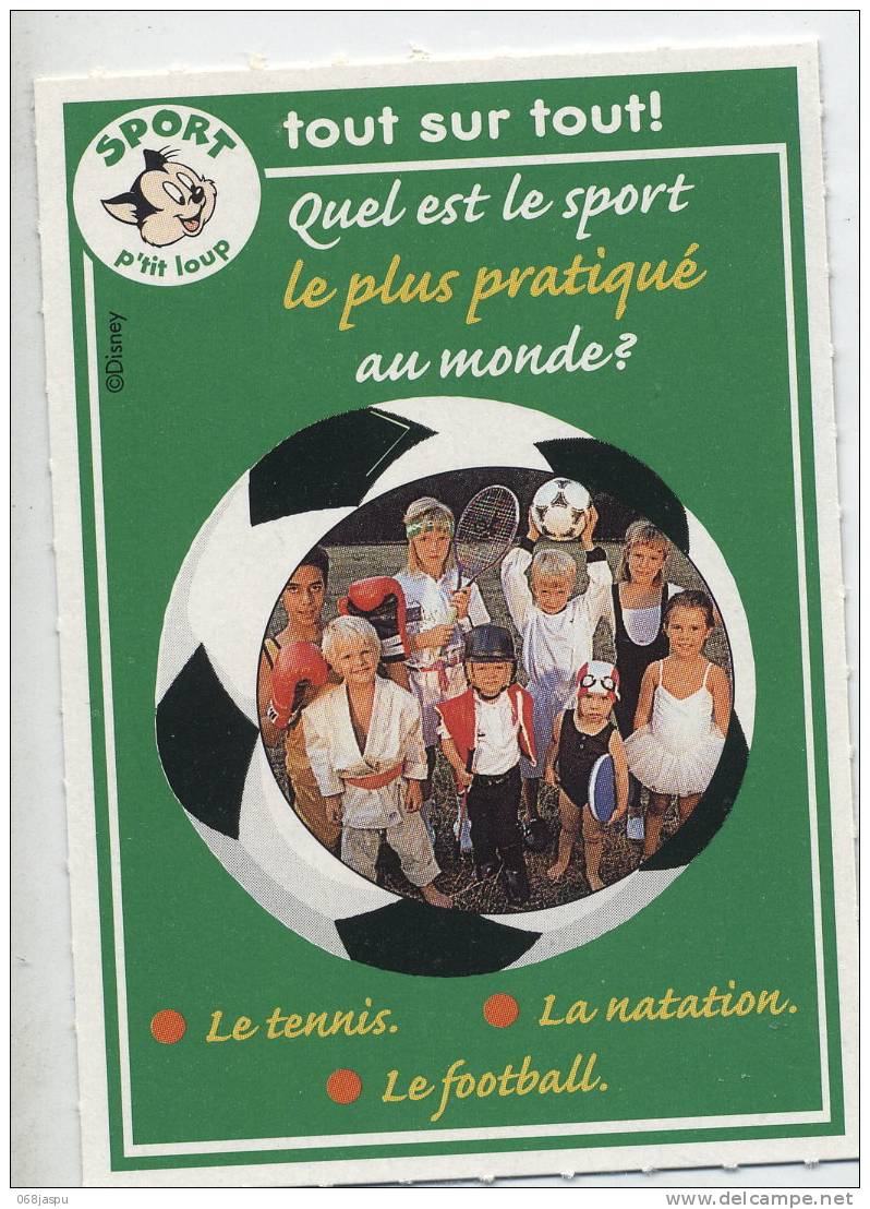 Fiche P'tit Loup Sport Football Tennis Etc - Sport