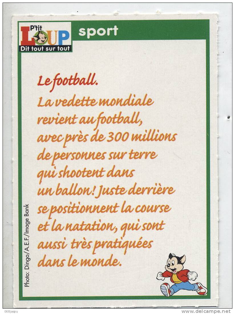 Fiche P'tit Loup Sport Football Tennis Etc - Sport