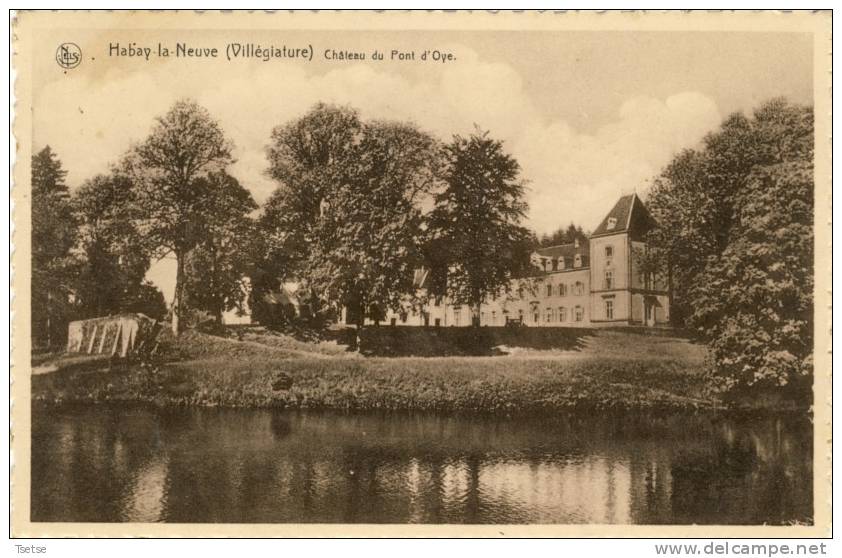 Habay-la-Neuve ( Villégiature ) - Château Du Pont D'Oye - Habay