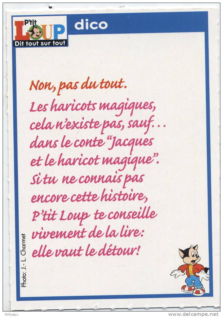 Fiche P'tit Loup Histoire Haricot Magique - Geschichte