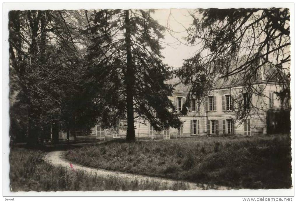 BOISSY Le SEC. - Le Château. CPSM 9 X 14 - Boissy-la-Rivière