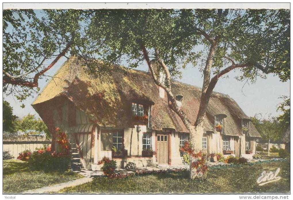 Cp , NORMANDIE , Une Maison Normande à Toit De Chaume - Haute-Normandie