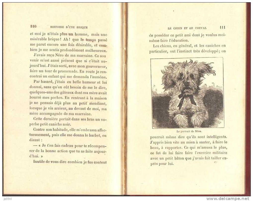 Histoire D'une Brique, Par L. Natanson (vers 1900) - 1801-1900