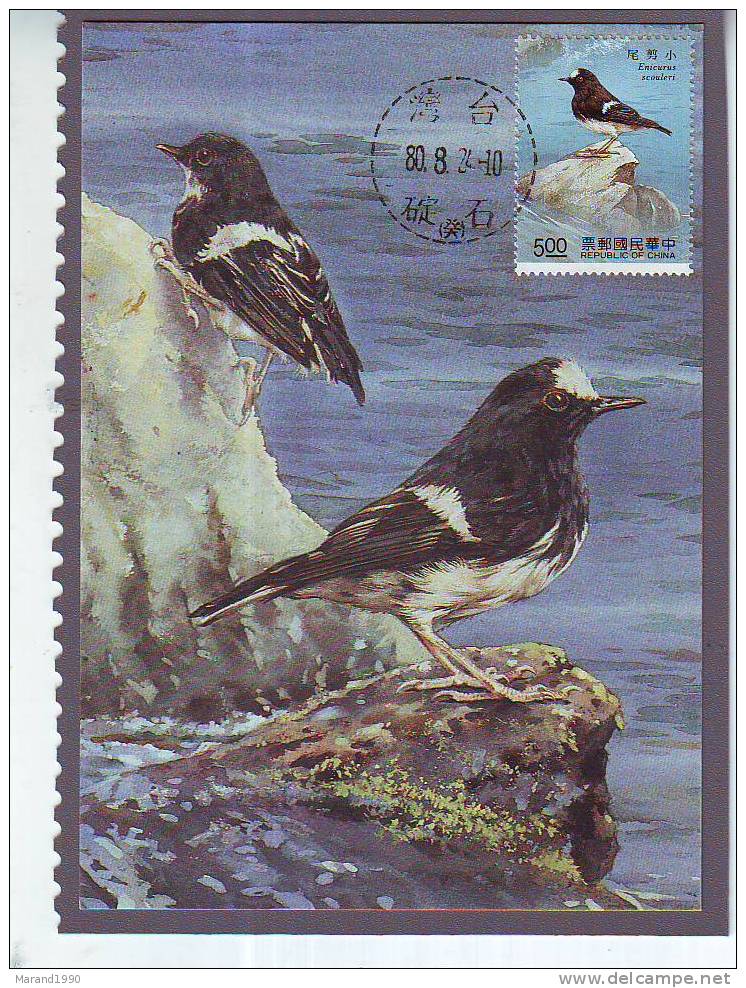 CARTE MAXIMUM, MAXIMUM CARD, BIRDS, OISEAUX, TAIWAN, ENICURUS CCOULERI ** - Autres & Non Classés