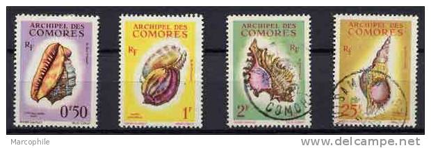 COMORES - COQUILLAGES / 1962  # 21 Et 24 Obliteres - Gebraucht