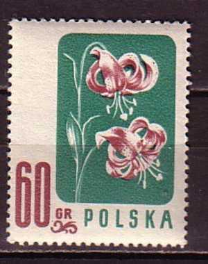 R3131 - POLOGNE POLAND Yv N°908 ** - Neufs