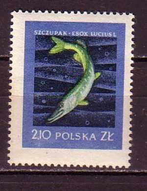 R3140 - POLOGNE POLAND Yv N°930 ** - Unused Stamps