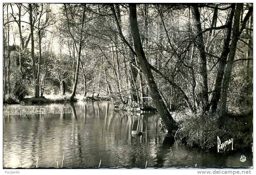 L'Yerres Charmante - Yerres