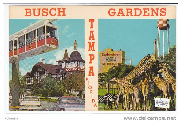 PO8509#  FLORIDA - TAMPA - BUSCH GARDENS - Vedute Safari - Monorotaia   VG 1972 - Tampa