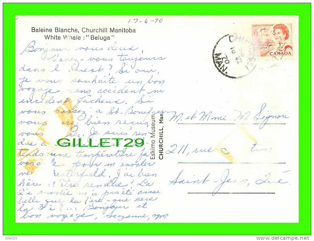 CHURCHILL, MANITOBA - BALEINE BLANCHE BELUGA - WHITE WHALE - HUDSON´S BAY MISSION - TRAVEL IN 1970 - - Churchill