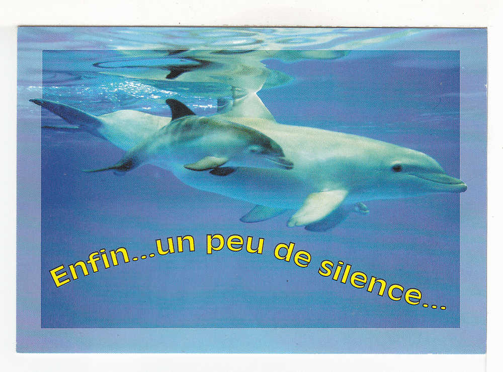 DAUPHIN -  Enfin... Un Peu De Silence .... - Dauphins