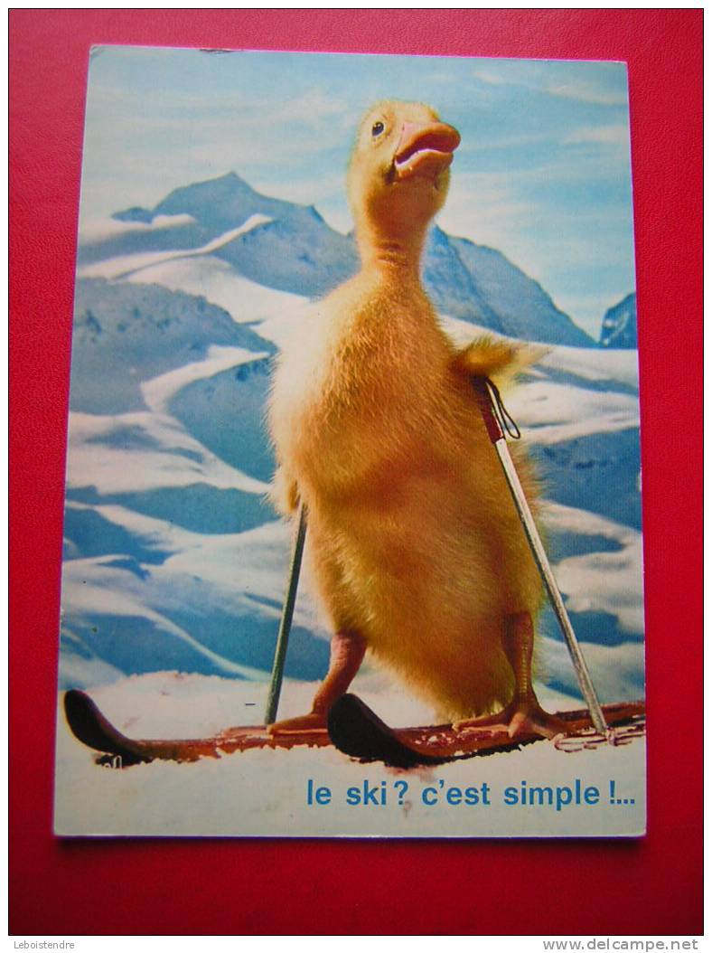 CP-THEME SPECTACLE SERIES TV-CANARD-SATURNIN AUX SPORTS D'HIVER-LE SKI , C'EST SIMPLE-PAR JEAN TOURANE-N° 43-NON VOYAGEE - Séries TV