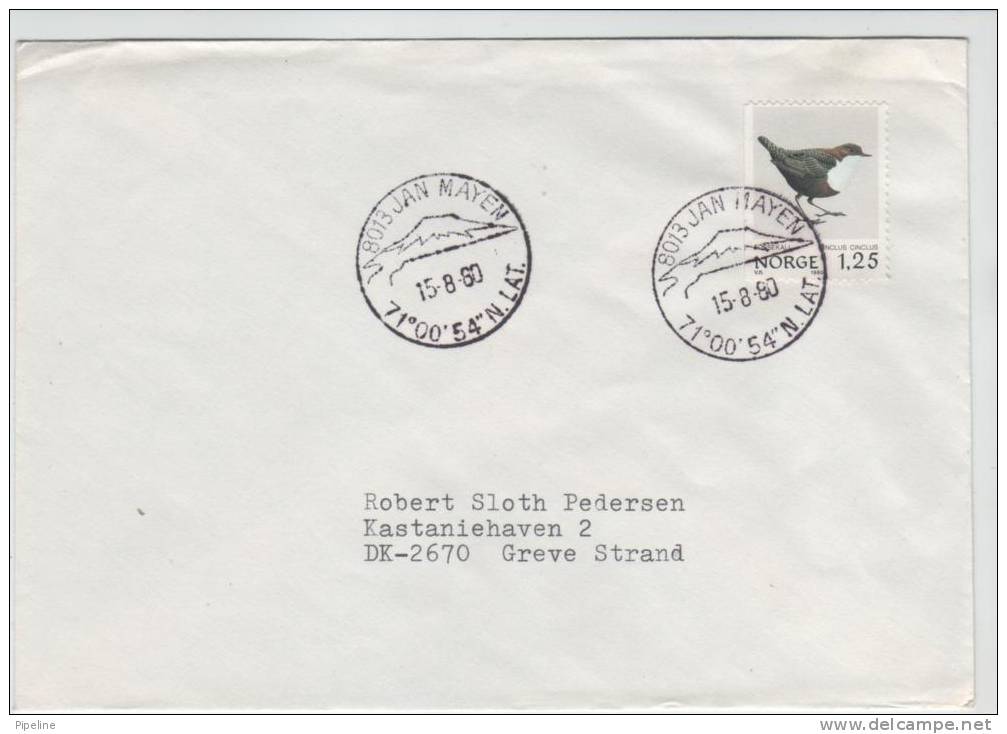 Norway Cover With Special Postmark 8013 JAN MAYEN 15-8-1980 Sent To Denmark - Lettres & Documents