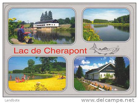 Lac De Cherapont - Gouvy - Carte Publicitaire - Gouvy