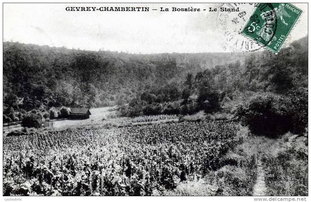21 GEVREY CHAMBERTIN LA BOSSIERE LE STAND - Gevrey Chambertin