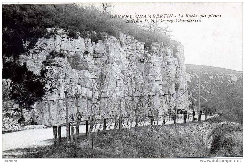 21 GEVREY CHAMBERTIN LA ROCHE QUI PLEURE - Gevrey Chambertin