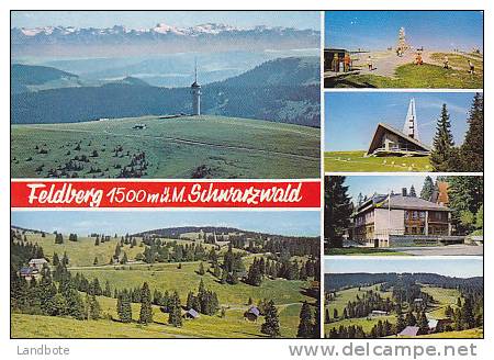 Feldberg - Schwarzwald - Feldberg