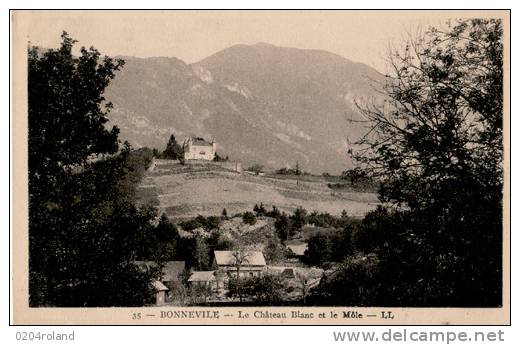 Bonneville - Le Château Blanc Et Le Môle : Achat Immédiat - Bonneville