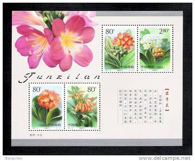 China 2000-24m Clivia Flower Stamps S/s Lily Flora - Ungebraucht