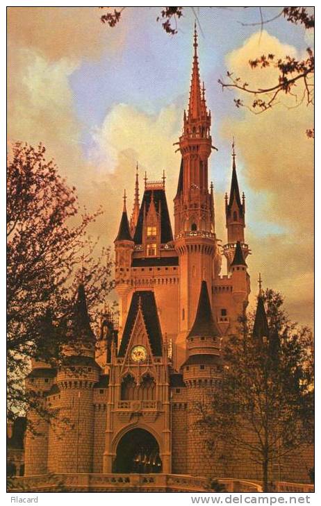 7367    Stati  Uniti   Cinderella  Castle  Fantasyland  NV - Orlando