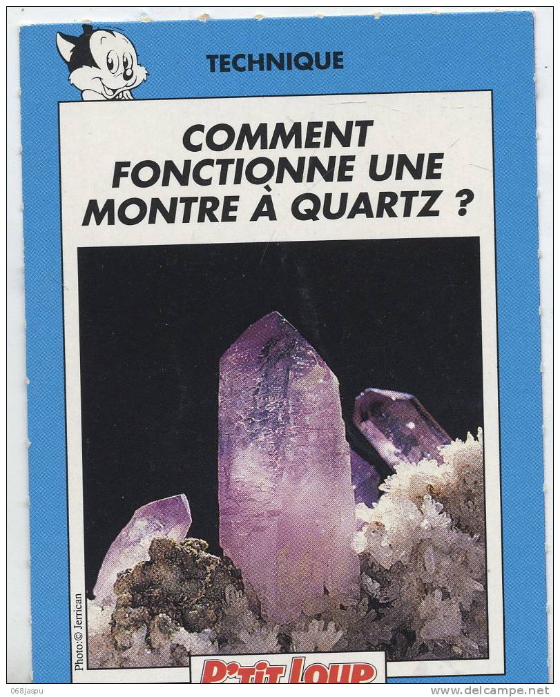 Fiche P´tit Loup Science Montre à Quartz - Other & Unclassified